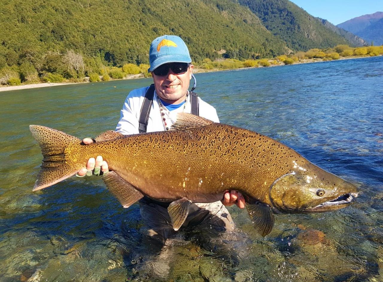 Cabanas Nutrias Patagonicas Puelo River Zewnętrze zdjęcie