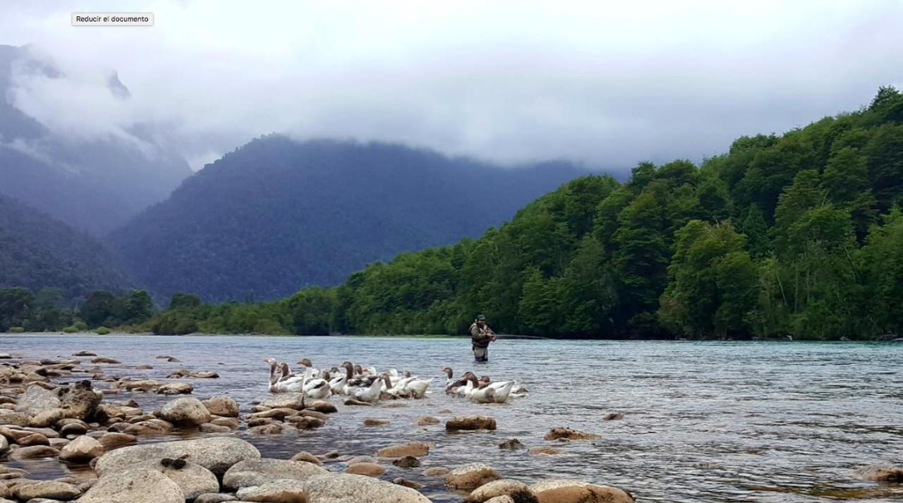 Cabanas Nutrias Patagonicas Puelo River Zewnętrze zdjęcie